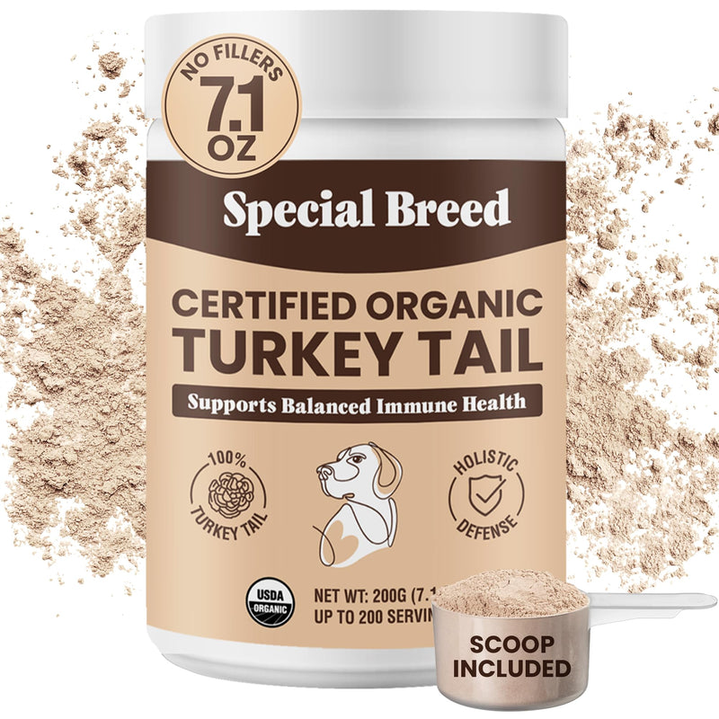 Special Breed Turkey Tail Mushroom for Dogs and Cats - Certified Organic Turkey Tail Powder, Canine Immune Support, 200 Grams - PawsPlanet Australia