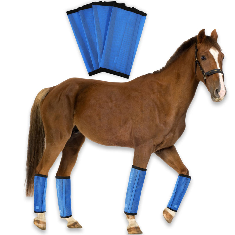 Mesh Fly Boots for Horses - Breathable Leggings for Comprehensive Leg Protection - Durable, Stylish & Comfortable (Large) - BeesActive Australia