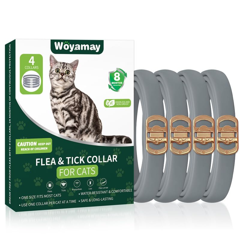 4 Pack Flea Collar for Cats, Adjustable Flea and Tick Collar for Cats, 8 Months Protection Cat Flea and Tick Treatment Collar, Flea and Tick Prevention for Cats, Waterproof Cat Flea Collar 4 Pack Grey - BeesActive Australia