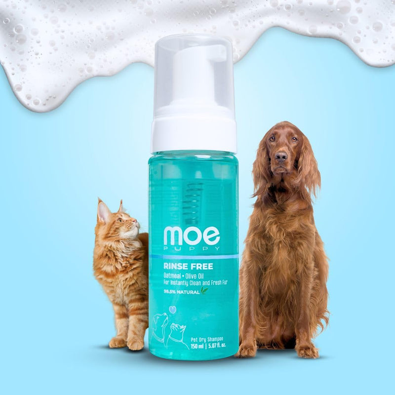 Moe Rinse Free Pet Dry Shampoo for Instantly Clean and Fresh Fur | Waterless Foam Cleanser for Dogs and Cats | (150 ml) (Blue) - BeesActive Australia