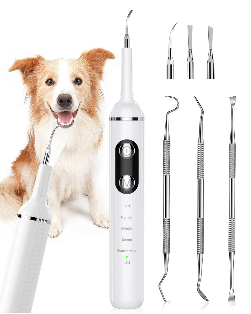 Plaque Remover for Teeth, Pet Tooth Brushing Kit, Dental Tools to Remove Plaque and Tartar, Safe for Dog and Cat, with LED Light, White