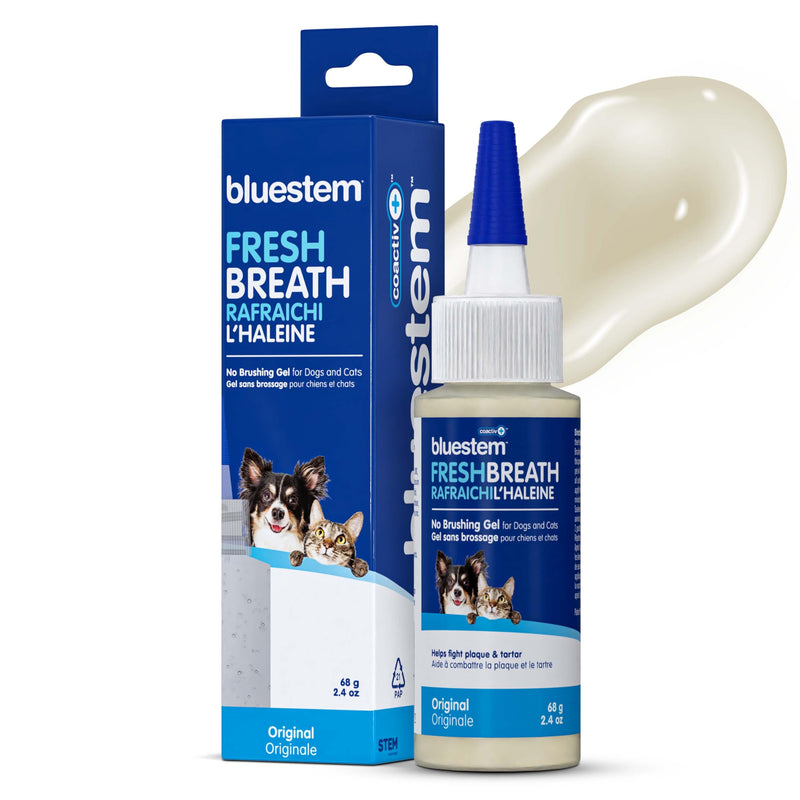 bluestemTM No Brush Dog Dental Gel - Dog Oral Gel to Freshen Breath, and Fights Plaque and Tartar - Brushless Toothpaste for Dogs Original 2.4 Ounce (Pack of 1) - PawsPlanet Australia