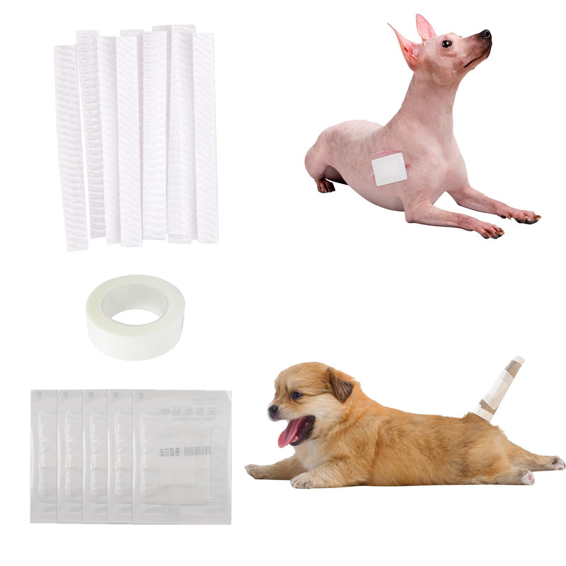 16 PCS Dog Tail Protector Dog Ends Starter Pack Including 10 Breathable Mesh Dog Tail Dressing 5 Gauze and 1 Roll Self-Adhesive Pet Bandage Vet Wrap for Dogs Cats Other Pets Animals - BeesActive Australia