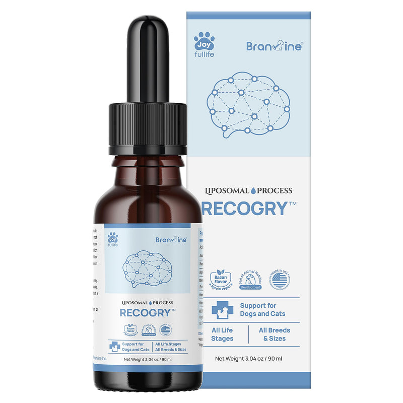 Recogry Liquid Cognitive Disorder and Brain Support for Dogs and Cats with Astaxanthin, Phosphatidylserine, Alpha GPC, DHA, Olive, Coconut, Sage, Turmeric, Ginger (90ml) - BeesActive Australia