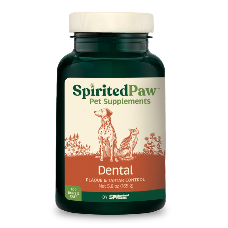 Dental for Cats and Dogs - Teeth Support Powder for Dogs & Cats - Pet Dental Health Supplements with Calcium and Fresh Breath Support - Dental Care for Plaque & Tartar - 165 g - PawsPlanet Australia