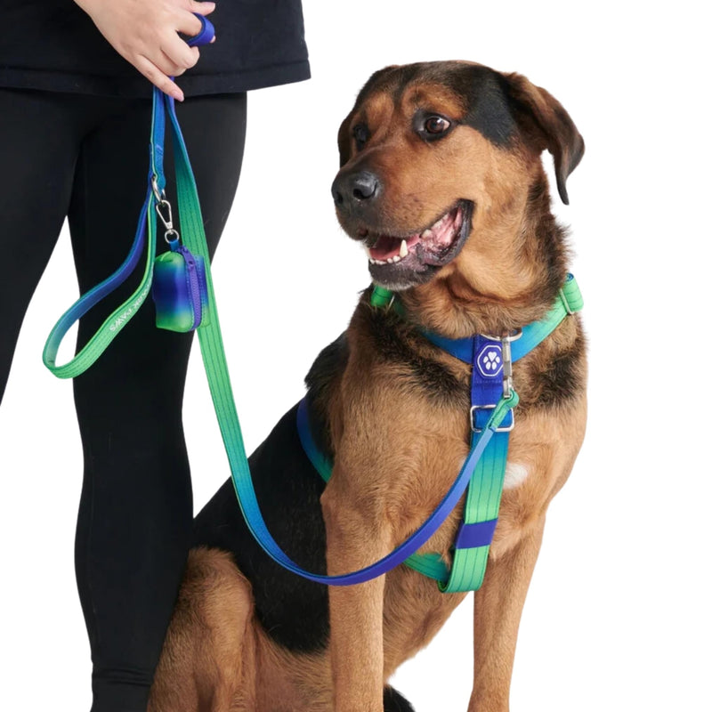 Spark Paws No-Pull Dog Harness - Designed for Safety and Control, Ideal for Large, Strong Breeds - Pitbulls, Boxers - Lime Wave - L Size L [80-150lbs] - BeesActive Australia