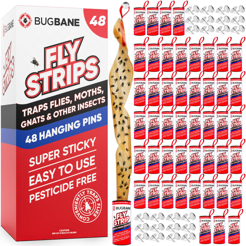48 Fly Strips Indoor Sticky Hanging with Pins. Fly Trap Fly Paper Strips Indoor Hanging Fly Tape for Indoors and Outdoor. Fly Catcher Fly Ribbon Sticky Fly Traps for Indoors Flypaper. Fruit Gnat Traps 48pk - BeesActive Australia