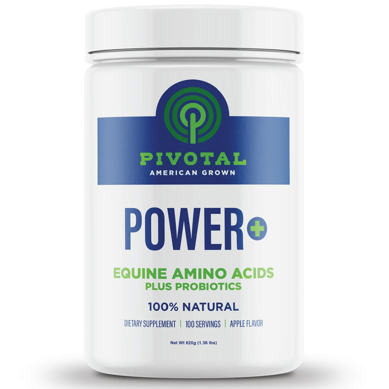 Power+ Horse Supplement (620g/1.36lbs - 100 Servings) - 9 Equine Amino Acids Plus Probiotics for Horses - No Added Sugar, No Soy, No Fillers - Horse Joint Support Supplement