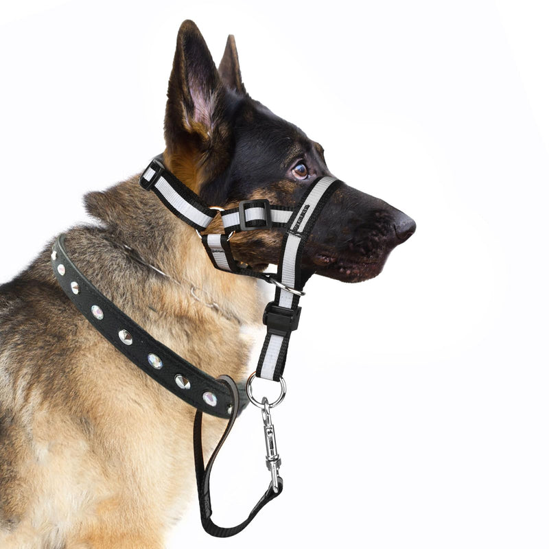 Dog No Pull Head Collar, Dog Gentle Leader Over The Nose Dog Leash Adjustable Dog Head Halter Anti-Pull Muzzle Leash Nose Strap for Dog Easy to Control When Walking (Size M) Size M - BeesActive Australia