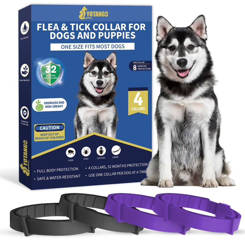 4 Pack Flea Collar for Dogs, Flea and Tick Collar for Dogs Puppies, 32 Months Flea and Tick Prevention for Dogs, Dog Flea Collar, Dog Flea and Tick Treatment-Black and Purple - BeesActive Australia