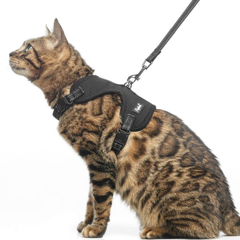 PUPTECK Cat Harness and Leash Set Escape Proof, Reflective Adjustable Soft Mesh Kitten Vest Harness for Walking Travel, Black, S Small - BeesActive Australia