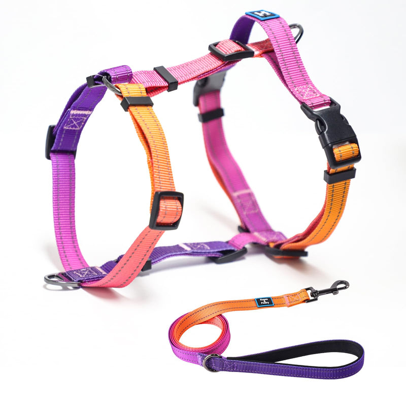 Roses&Poetry Dog Harness with Leash, No Pull Adjustable Harness Leash, Reflective Dog Halter Harnesses Comfort Padded Handle, Pet Walking Harness for Medium Dogs（Mistyrose-M） Mistyrose - BeesActive Australia