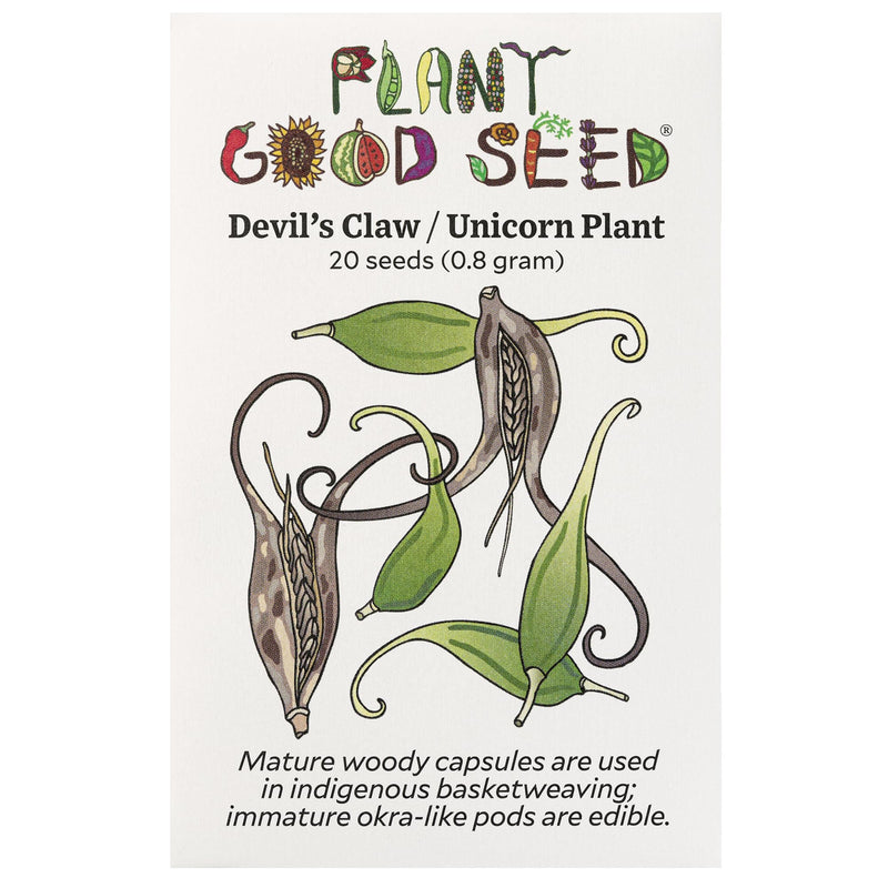 Plant Good Seed Devil's Claw/Unicorn Plant Seeds for Planting: Basket Weaving Carniverous Plant, Purple Flowers - 20 Seed Packet - BeesActive Australia