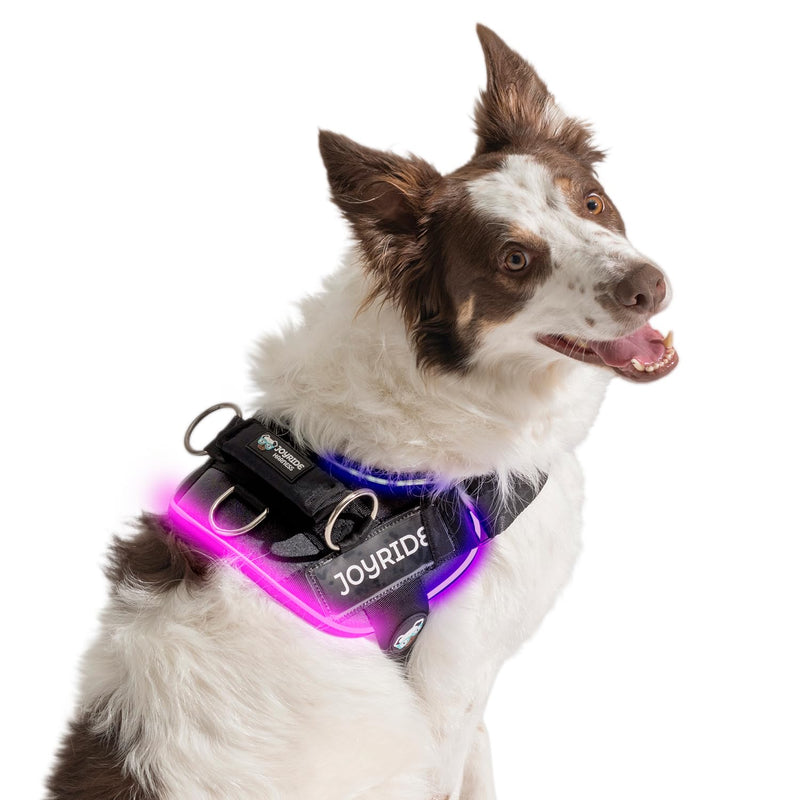 Joyride Harness LED Light Up Dog Harness 2.0 - Patent Pending Design, 3 LED Modes, Vibrant Rechargeable Lighting, Customizable Name Tag Area, and Convenient On/Off Button for Enhanced Pet Safety Large Black - BeesActive Australia