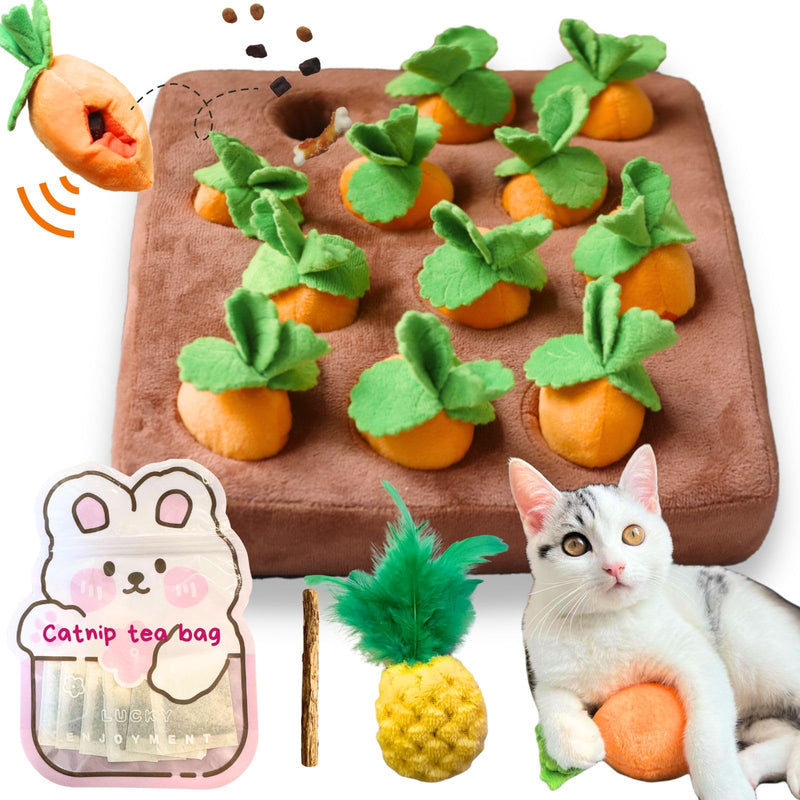 Carrot Catnip Cat Toys, Interactive Feather Cat Toys for Indoor Cats, Cat Puzzle Toys for Boredom and Mental Stimulation, 12 Squeaky Carrots with Treat Pockets and 12 Catnip Tea Bags Carrot Puzzle + Catnip - BeesActive Australia
