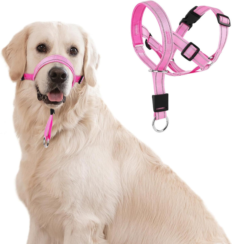 No-Pull Dog Headcollar - Reflective Head Halter Collar for Dogs, Padded Dog Head Collar to Stop Heavy Pulling, Anti-Pull Muzzle Leash (Pink, Medium) Pink - BeesActive Australia