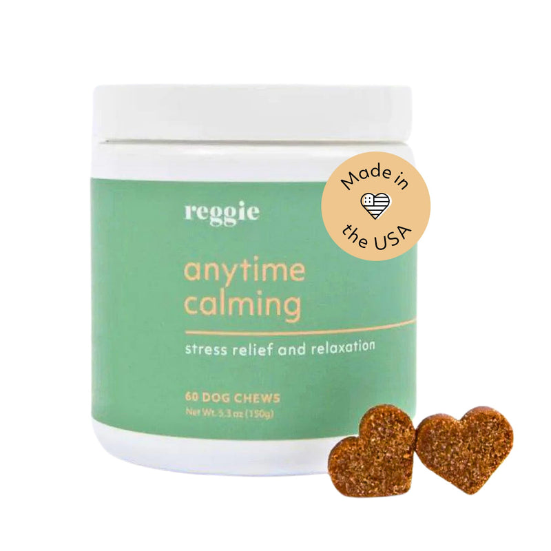 Reggie Anytime Calming Chews for Dogs | Natural Calming Dog Treats to Reduce Hyperactivity, Separation Anxiety, & Stress | Vet-Approved & Ideal for All Ages, Breeds, and Sizes - 60 Soft Chews 60 Count - PawsPlanet Australia