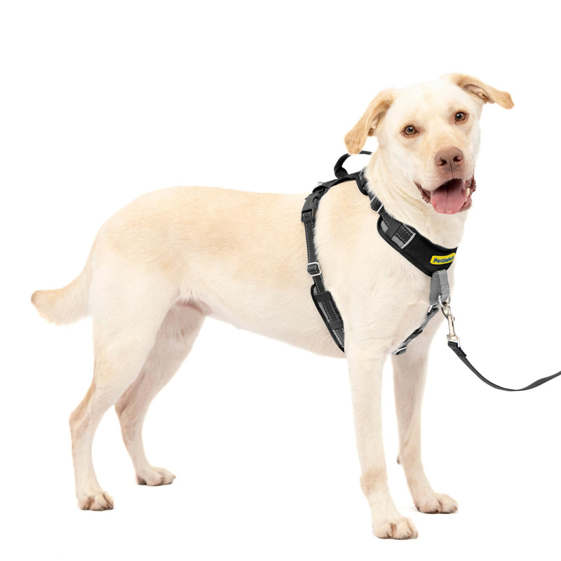 PetSafe Easy Walk Comfort No-Pull Dog Harness Full-Body Padding - Better Walks on The First Use - 5 Points of Adjustment Large, Black - BeesActive Australia