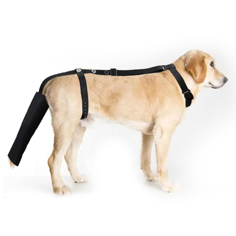 Dog Tail Guard Dogs Tail Protector Bag Dogs Tails Heal Sleeve for Dog Happy Tail Syndrome - BeesActive Australia