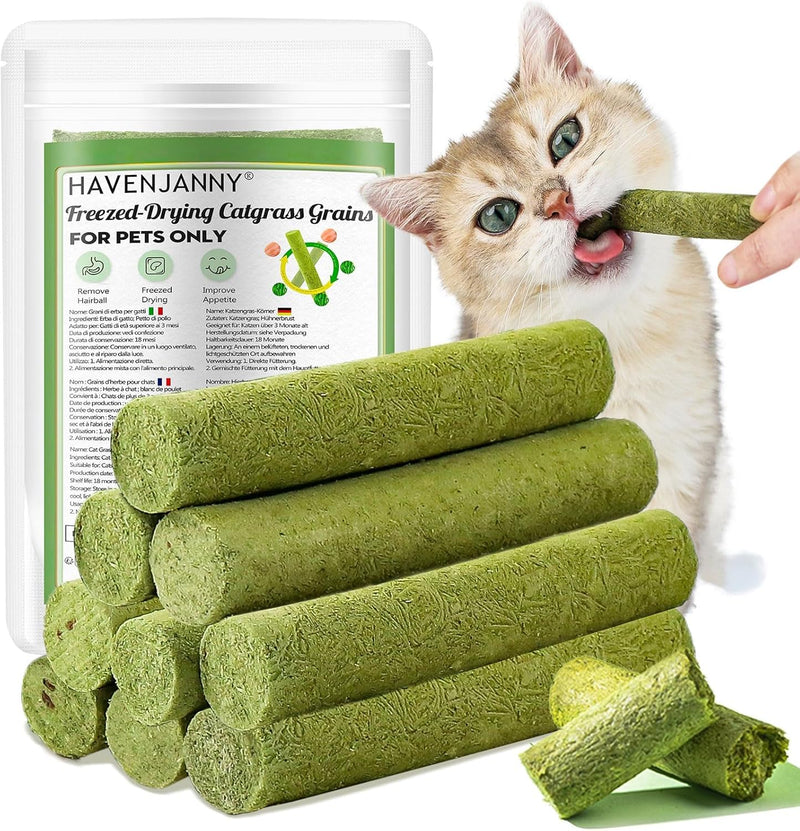 HavenJanny 50g Cat Grass Teething Stick, Freezed Drying Cat Grass Sticks Snacks for Cats, Edible Cat Treats for Teeth Cleaning and Hairball Removal - BeesActive Australia