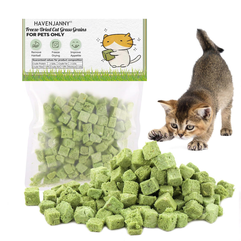 HavenJanny 60g Cat Grass Treats for Cat, Freezed Drying Cat Grass Teething Stick Snacks for Cats, Edible Cat Chew Toys for Teeth Cleaning and Hairball Removal 2.11ounce - BeesActive Australia