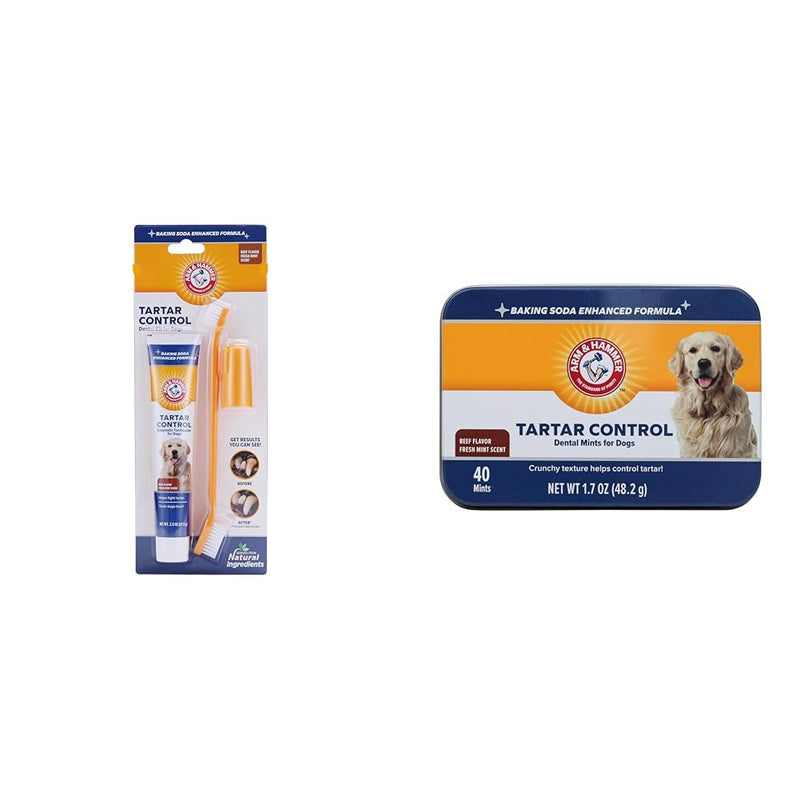 Arm & Hammer Dental Care Bundle for Dogs: Tartar Control Kit with Toothpaste, Toothbrush, Fingerbrush - Beef Flavor and Dental Mints, 40 Count - Reduces Plaque & Tartar, Safe for Puppies - PawsPlanet Australia