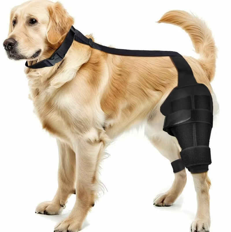Dog Knee Leg Brace - Dog Knee Brace for Torn ACL Hind Leg, Dog Leg Braces for Back Leg & Front Leg, ACL Tear Leg Support, Comfortable and Adjustable, Size M Black(Dog Leg Brace) - BeesActive Australia