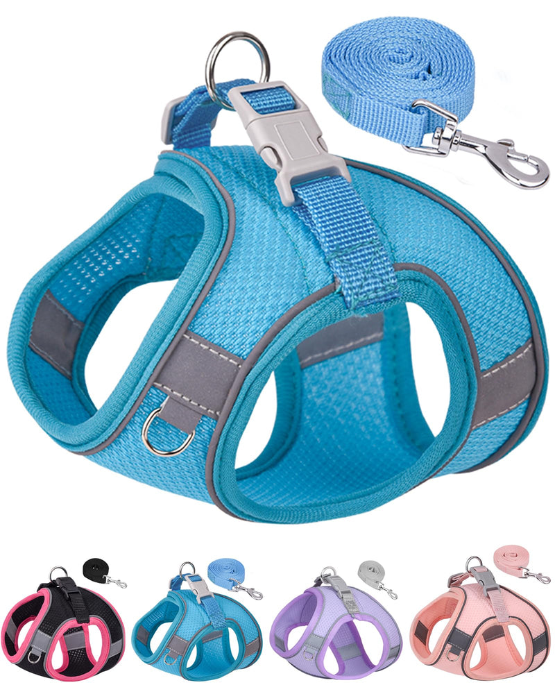 Dog Harness for Small Medium Sized Dog, Puppy Harness and Leash Set Training, Dog Harness and Leash Set, Dog Vest Harness, Dog Harness Small Sized Dog, Small Dog Harness. (Blue, XXS) XX-Small Blue - BeesActive Australia