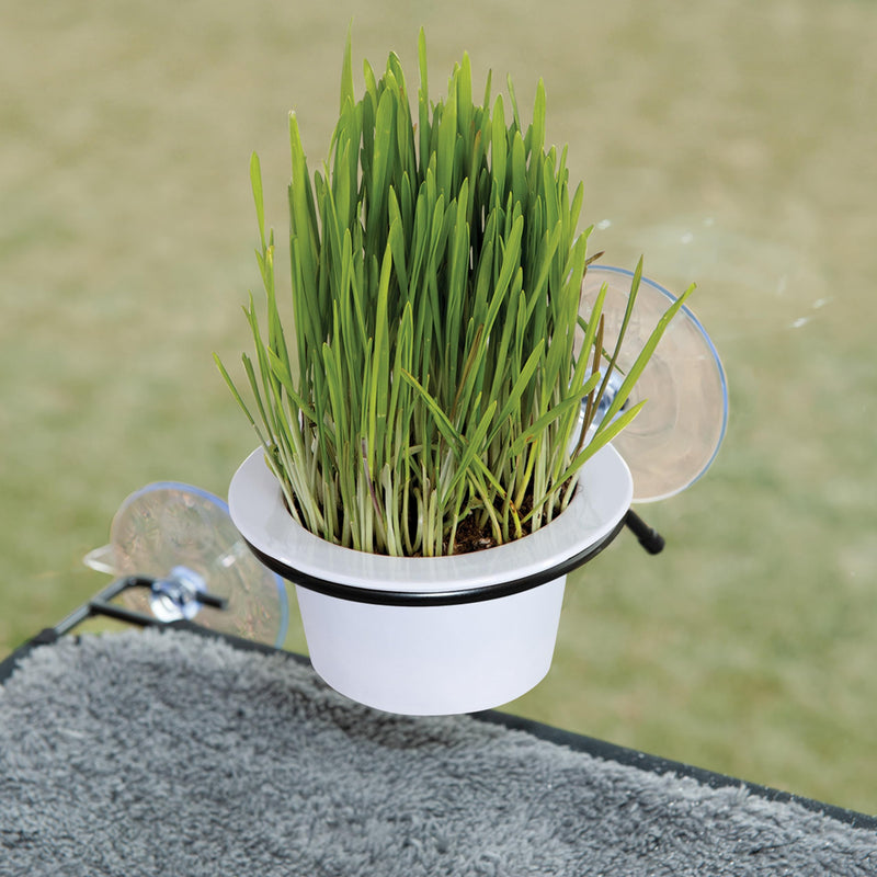 K&H Pet Products EZ Mount Grow Station Cat Grass for Indoor Cats, Healthy Home Grown Oat Grass Kit Mounts to Windows, Pairs Purr-fectly with Window Perches, Farmed in USA Non-GMO - 1 Refill Included - PawsPlanet Australia