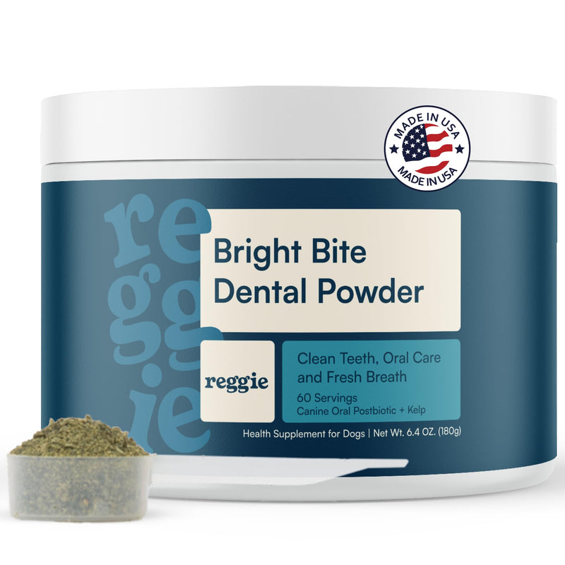 Reggie Bright Bite Dog Dental Powder for Fresh Breath, Healthy Teeth & Gums, 7-Day Results, Postbiotic Formula with Organic Kelp, Natural Dental Care, Vet-Approved, Made in USA, 60 Servings