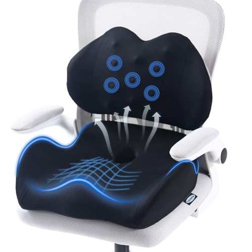 Lexeme X Large Memory Foam Seat Cushion Lumbar Support Pillow for Sciatica & Tailbone Pressure Relief Coccyx Pad for Office Chair, Car,Wheelchair,Home,Office Black