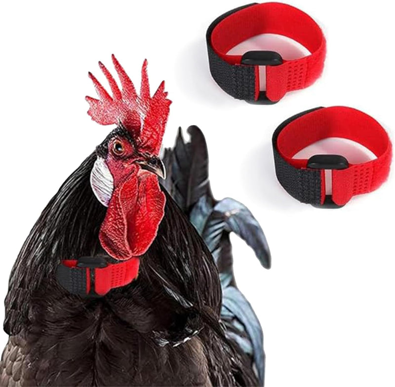 2Pcs Black and Red Crow Rooster Collar, Crow Collar, Rooster Collar, Neck Belt for Roosters Cockerel Velcro Nylon Prevent Chickens from Screaming Basic Collars - BeesActive Australia