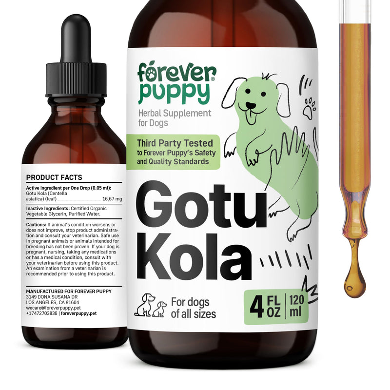 Gotu Kola Drops for Dogs - Gotu Kola Extract & Centella Asiatica for Brain Health Support - Nutritional Brain Supplement for Dogs of All Breeds & Sizes - 4 oz 4 fl oz - PawsPlanet Australia