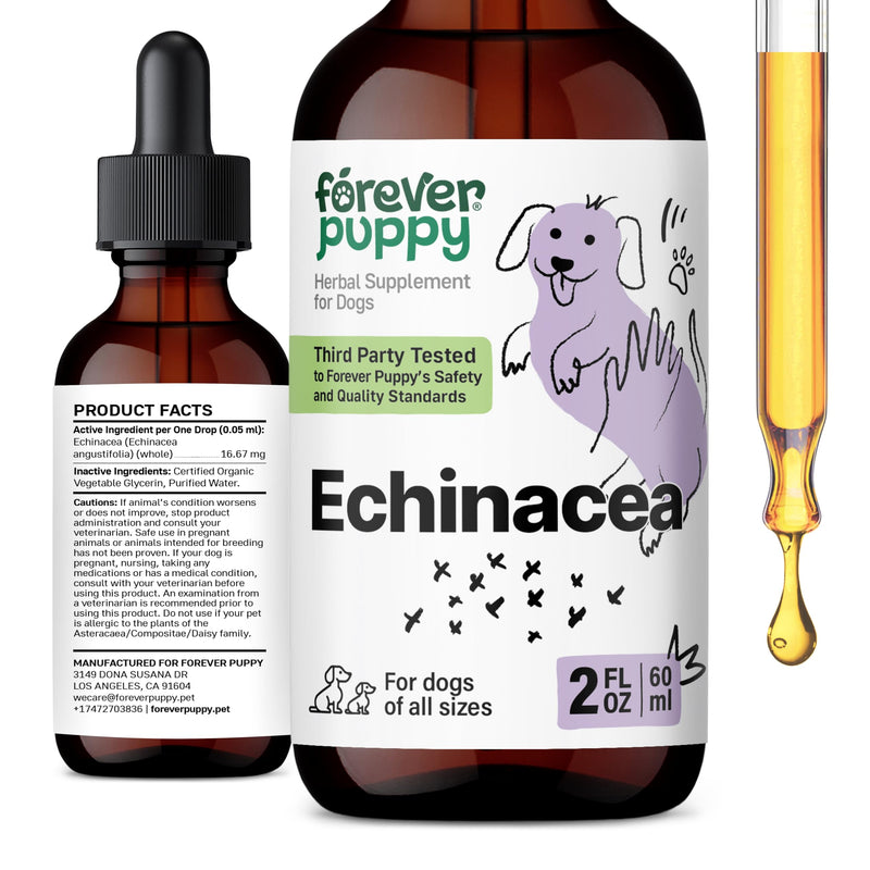 Echinacea Drops for Dogs - Respiratory Health & Immunity Support w/Echinacea Herb Tincture - Liquid Immune Support Supplement for Dogs of All Breeds & Sizes - 2 oz 2 fl oz - PawsPlanet Australia