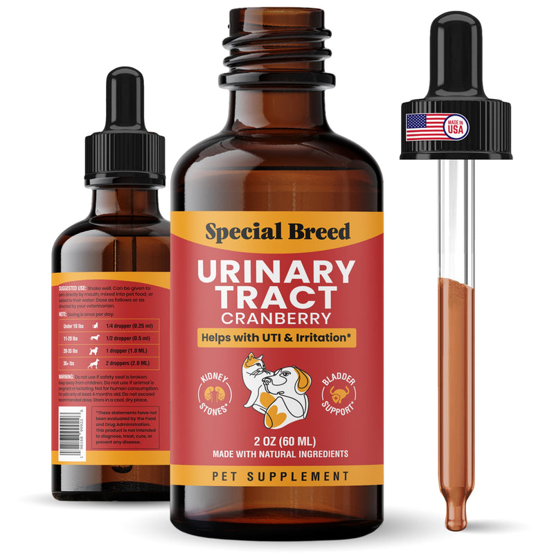 Urinary Tract Infection Treatment for Cats and Dogs - Cranberry UTI Supplement, Kidney and Bladder Support, 2 oz 2oz - BeesActive Australia