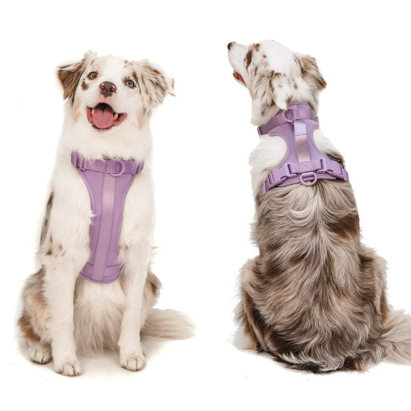 Adjustable Dog Harness with Handle | BearBone No Pull Dog Vest Harness | Front Clip Harness for Dogs | Best Dog Harness for Walking and Training | Medium Dog Harness | Lilac Dog Harness - BeesActive Australia