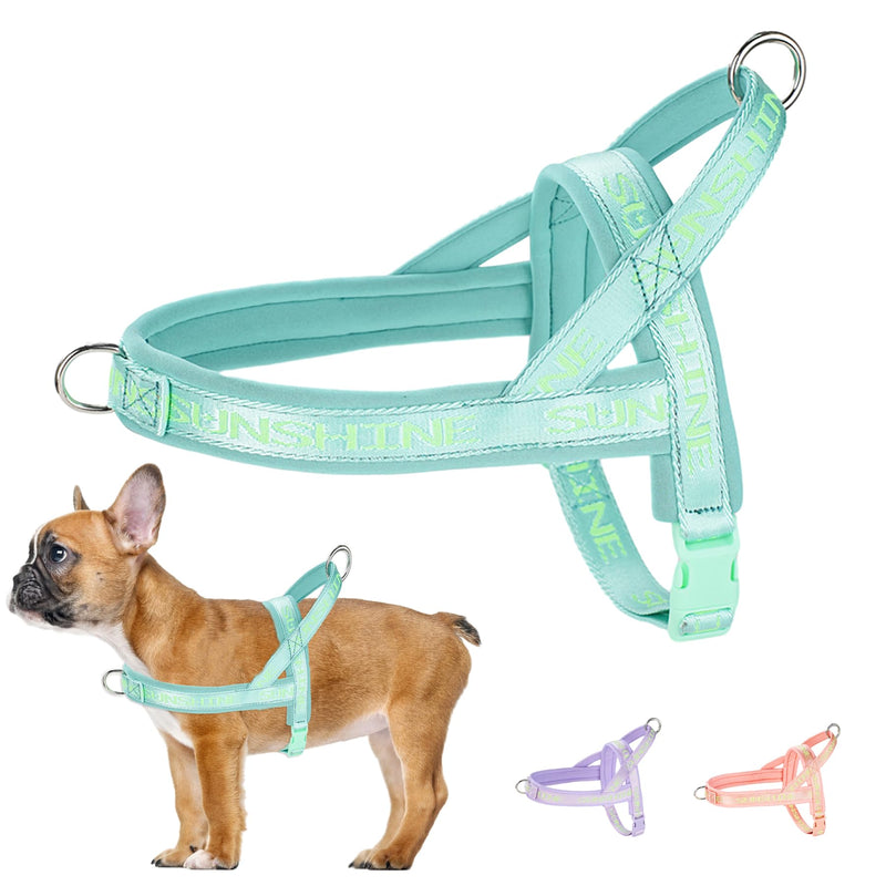 No Pull Escape-Proof Dog Vest Harness No Choke Soft Padded Dog Strap Harness Easy for Dog Walking Training Harness with Comfortable Handle S(Neck:13.8",chest:18.1"-23.2") Green - BeesActive Australia