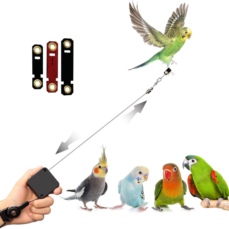 Bird Leash,Bird Harness,Retractable Anti-Bite Parrot Harness,with 3 Different Sizes of Soft Foot Ring,for Birds Outdoor Flight Training,for Budgies,Cockatiels,Psittacula Longicauda,Mini Macaws,6.5Ft - BeesActive Australia
