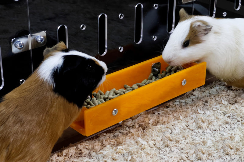 GuineaLoft™ Food Feeder Yellow - Say Goodbye to Traditional Bowls! Ultimate Feeder for Small Pets Like Guinea Pigs, Rabbits and Chinchillas. Designed & Made by Seasoned Owners - GuineaLoft Exclusive - BeesActive Australia