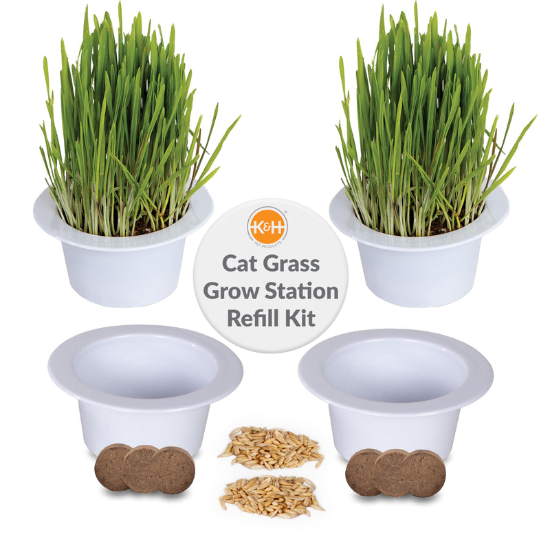 K&H Pet Products Cat Grass Grow Station Growing Cup Refills for K&H EZ Mount Products - Healthy Home Grown Grass Cat Toys for Bored Indoor Adult Cats, Farmed in USA, Non-GMO - Refill ONLY - 2 Pack - BeesActive Australia