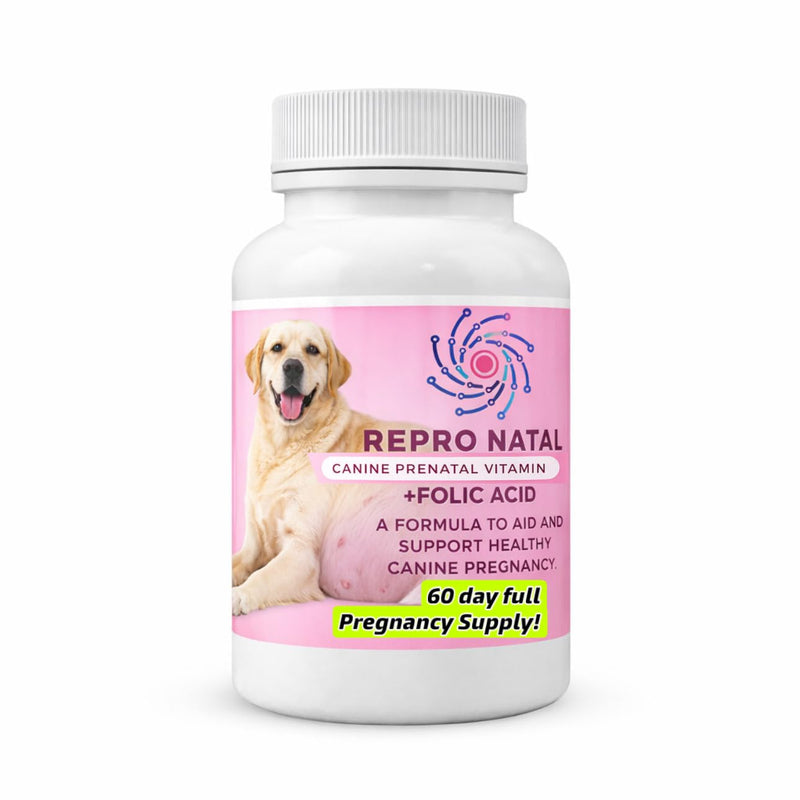 Prenatal Multi-Vitamin Capsules - 60-Day Supply to Aid Full-Term Pregnancies and Promote Optimal Health for Expecting Dogs - ReproNatal™ Dog Supplement Prenatal (Female Dog)