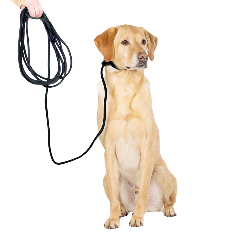 Fenrir Long Line Slip Leash 6m Professional Dog Training Lead to Train Recall, Perfect for Recall, Easy to Use, Spring Loaded Stopper, Light Weight and Durable - BeesActive Australia