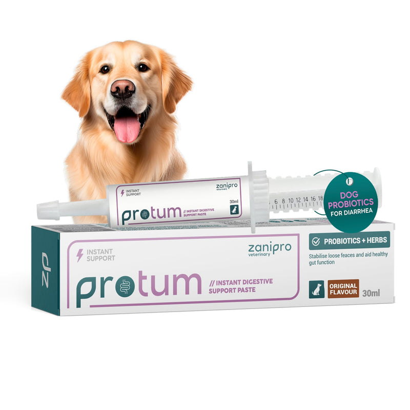 Protum Probiotic Paste for Dogs - 30ml Advanced Prebiotic Formula for Digestive Support - Tasty Flavour for Canine Gut Health - Aids Digestion, Diarrhea Recovery, and Wellness Original 30cc (ml)