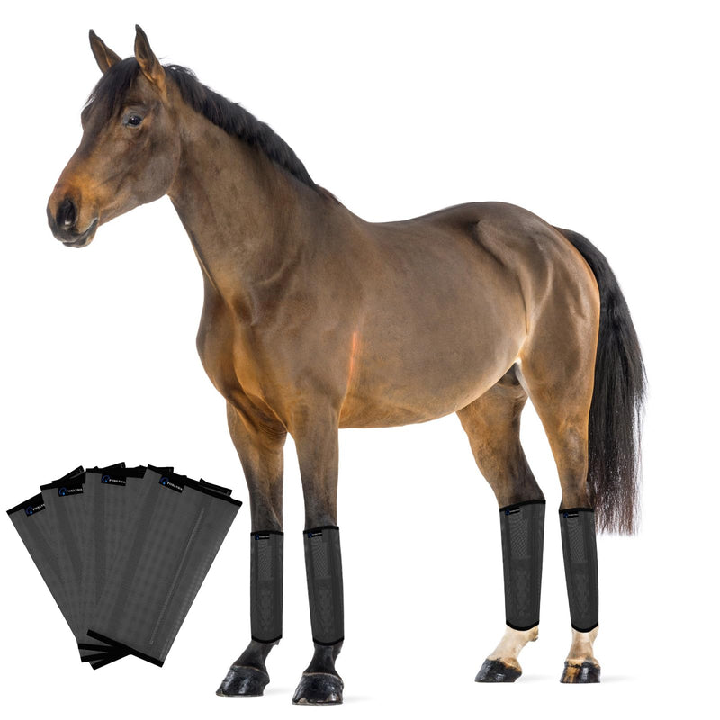 Horse Fly Boots, Adjustable Fly Boots for Horses Set of 4, Comfortable Horse Leggings, Breathable Plastic Mesh Material, Horse Supplies for Reduces Stress & Leg Fatigue (Dark Gray) Dark Gray - BeesActive Australia