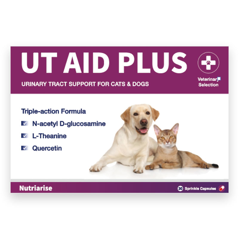Natural UTI Treatment for Cats & Dogs – Antibiotic-Free Urinary Tract Infection Support Supplement – Bladder & Kidney Health – Incontinence Prevention – 30 Capsules