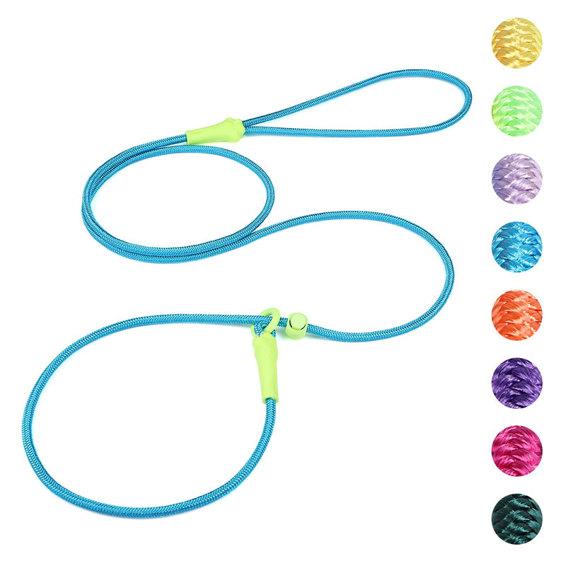 DaFuEn 6 FT Dog Slip Lead Dog Leash Dog Classic Training Leash Lightweight Durable Slip Leads for Dogs No-Pull Slip Leash and Collar Dog Leash for Small Medium Puppies Blue 1.8m - BeesActive Australia
