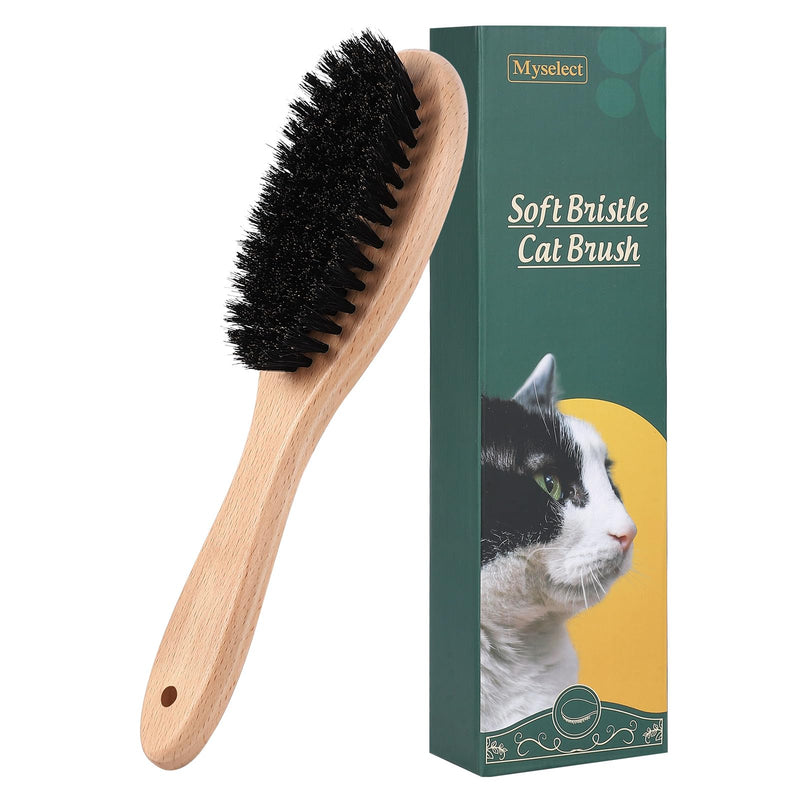 Boar Bristle Cat Brush with Wooden Handle, Soft and Gentle, Reduce Shedding, Make Coat Soft, Smooth and Shinny, Daily Grooming Tool for Short Haired Cats, Kitten Wood - BeesActive Australia