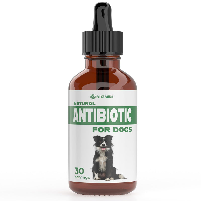 Natural Dog Antibiotics - Antibiotics for Dogs - Antibiotic for Dog - Yeast Infection Treatment for Dogs - Dog Yeast Infection Treatment - Itch Relief for Dogs - 1 fl oz - Bacon Flavor - PawsPlanet Australia