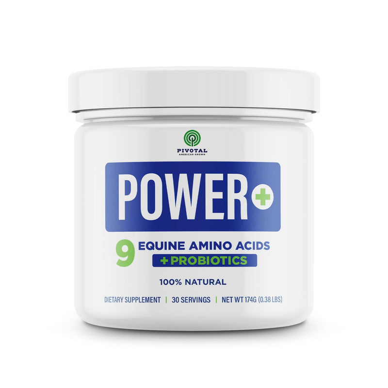 Power+ Horse Supplement (174g/0.38lbs - 30 Servings) - 9 Equine Amino Acids Plus Probiotics for Horses - No Added Sugar, No Soy, No Fillers - Horse Joint Support Supplement