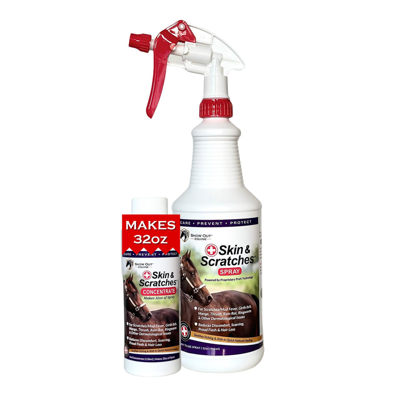 Show Out Skin & Scratches 4 oz Concentrate - Fast Relief and Prevention for Horse Care. Use on Equine Scratches/Mud Fever, Girth Itch, Mange, Thrush, Rain Rot, Ringworm, etc w/Empty Spray Bottle 32 fl oz - PawsPlanet Australia